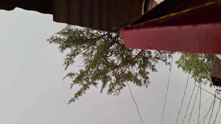 गोरखपुर मौसम (Gorakhpur Weather) में आये बदलाव पर अपडेट