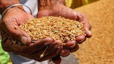 अन्त्योदय एवं पात्र गृहस्थी कार्डधारकों के लिए खाद्यान्न वितरण शुरू अन्त्योदय एवं पात्र गृहस्थी कार्डधारकों को मिलेगा मुफ्त राशन और रियायती चीनी