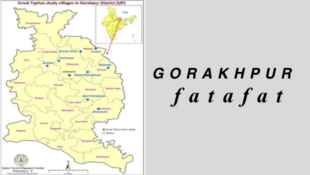 Gorakhpur Top 7 News: आप का शहर आप की खबर Gorakhpur Top 7 News: एसपी सिटी और एडीएम ने किया पैदल गश्त