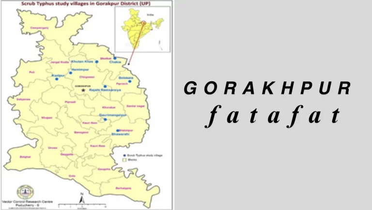 Gorakhpur Top 7 News: एसपी सिटी और एडीएम ने किया पैदल गश्त