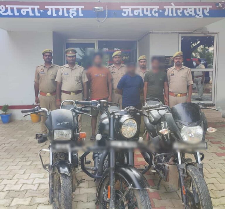 बाइक चोर गिरोह की अपराधो का संक्षिप्त विवरण