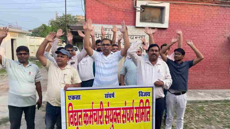 बिजली निजीकरण के विरोधियो का हो रहा है दमन